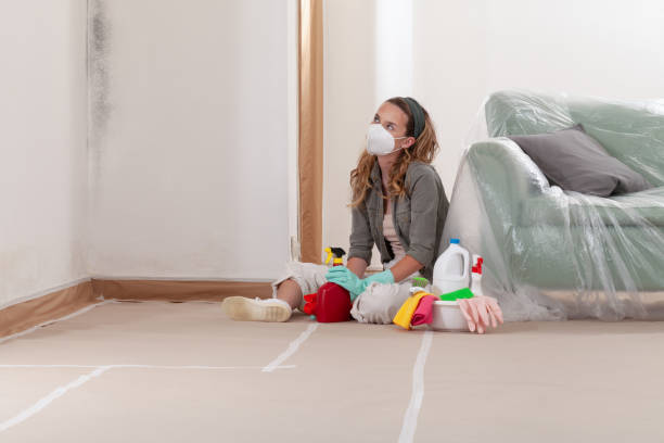 Reliable Mold Remediation contractor in Lakeland, MN by WQB Mold Removal